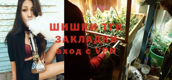 амф Абаза