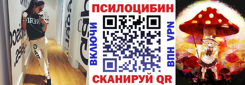 Псилоцибиновые грибы Psilocybine cubensis  дарнет шоп  Холм 
