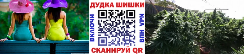 Канабис SATIVA & INDICA  Холм 